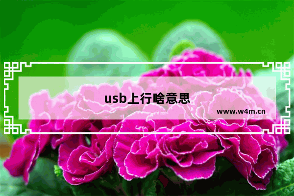 usb上行啥意思