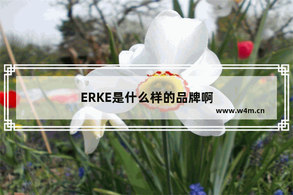 ERKE是什么样的品牌啊