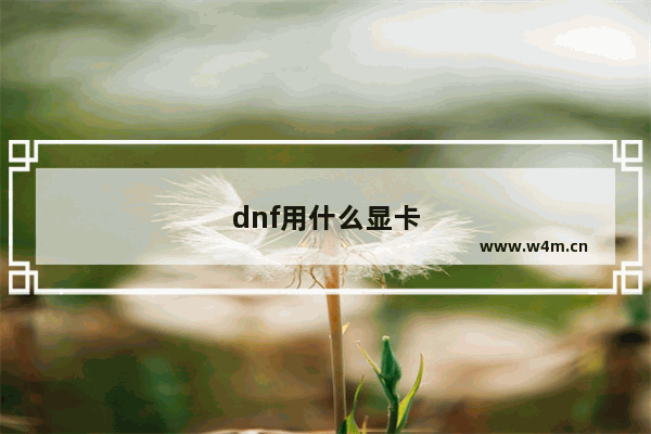 dnf用什么显卡