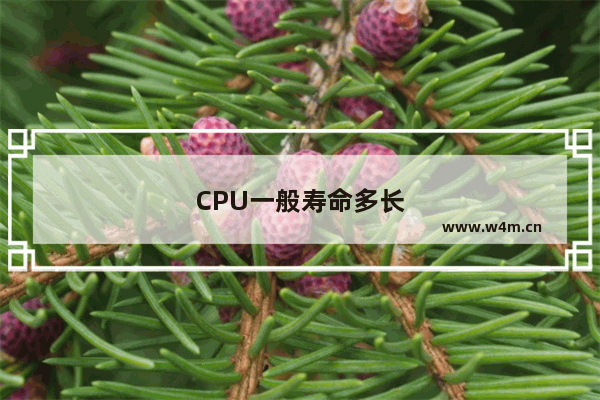 CPU一般寿命多长