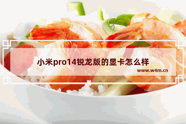 小米pro14锐龙版的显卡怎么样