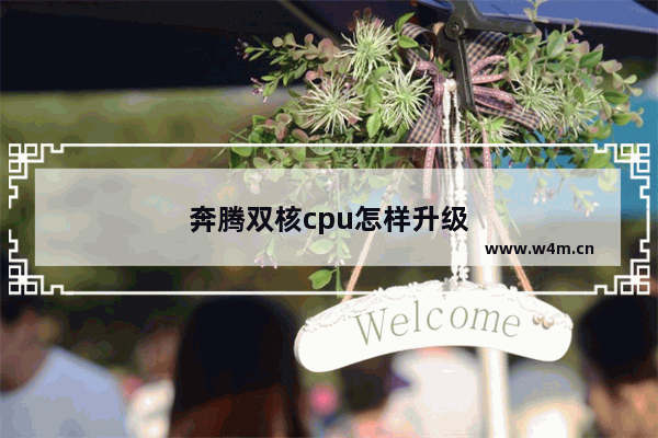 奔腾双核cpu怎样升级