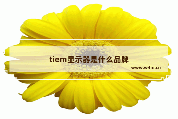 tiem显示器是什么品牌