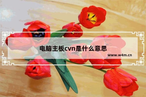 电脑主板cvn是什么意思