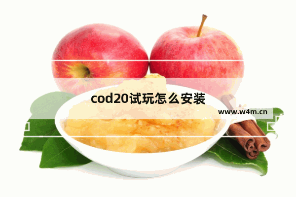 cod20试玩怎么安装