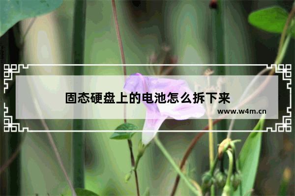 固态硬盘上的电池怎么拆下来