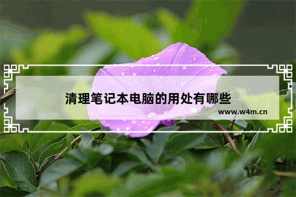 清理笔记本电脑的用处有哪些