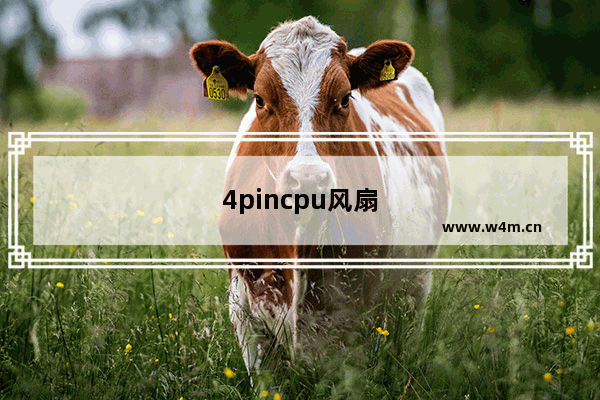 4pincpu风扇