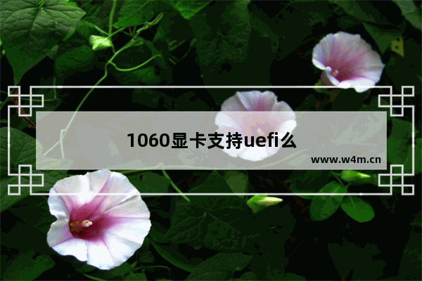 1060显卡支持uefi么