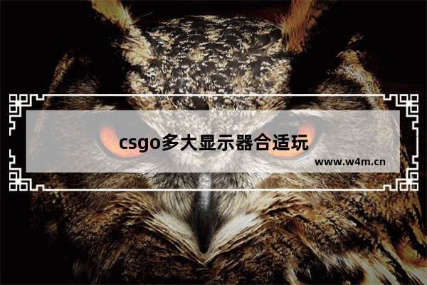 csgo多大显示器合适玩