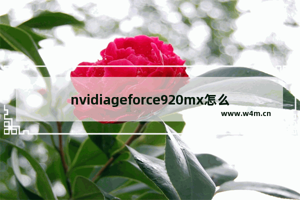 nvidiageforce920mx怎么样