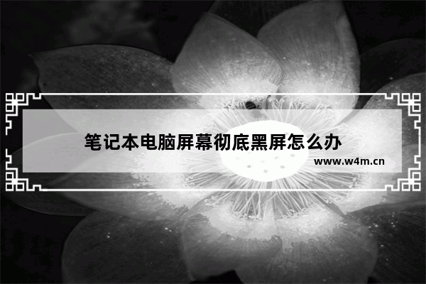 笔记本电脑屏幕彻底黑屏怎么办