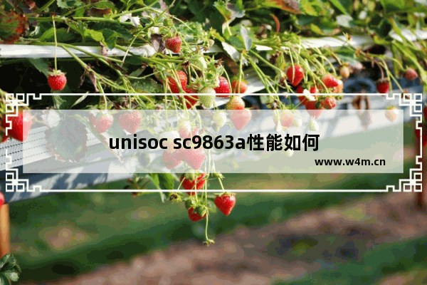 unisoc sc9863a性能如何