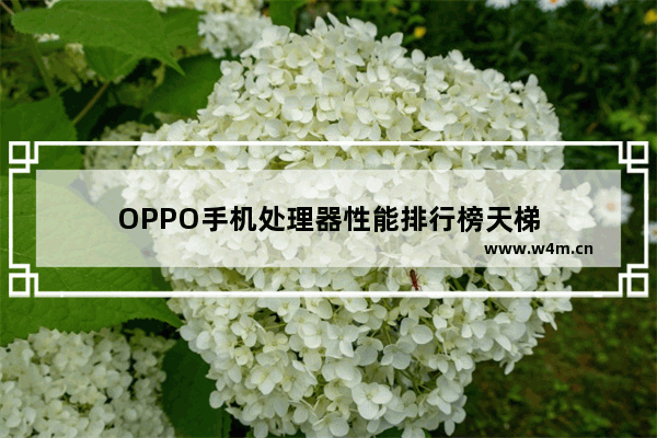 OPPO手机处理器性能排行榜天梯