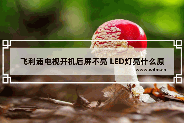 飞利浦电视开机后屏不亮 LED灯亮什么原因