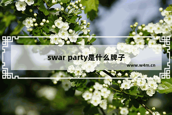 swar party是什么牌子