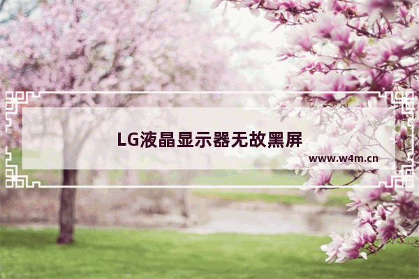 LG液晶显示器无故黑屏