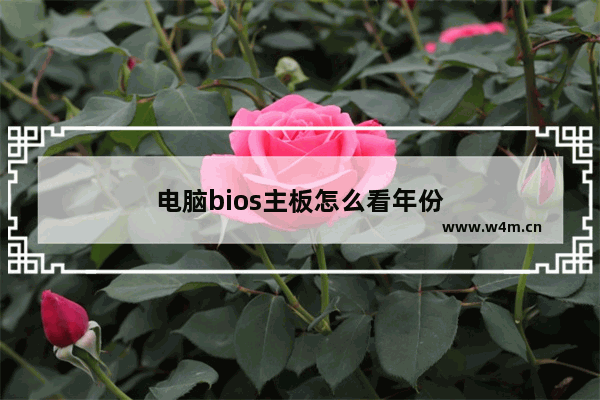 电脑bios主板怎么看年份