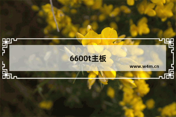 6600t主板