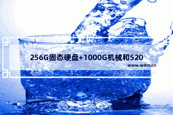 256G固态硬盘+1000G机械和520G固态硬盘哪个好