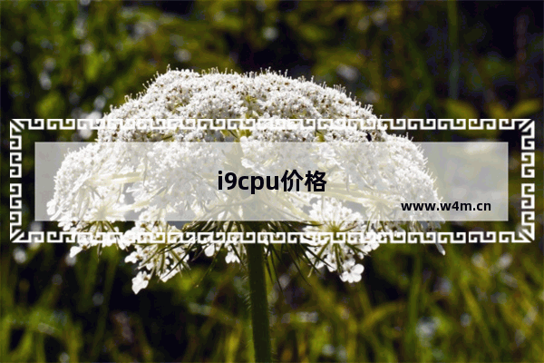 i9cpu价格