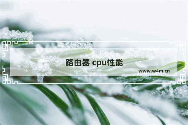 路由器 cpu性能