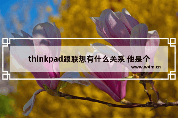 thinkpad跟联想有什么关系 他是个独立的品牌么