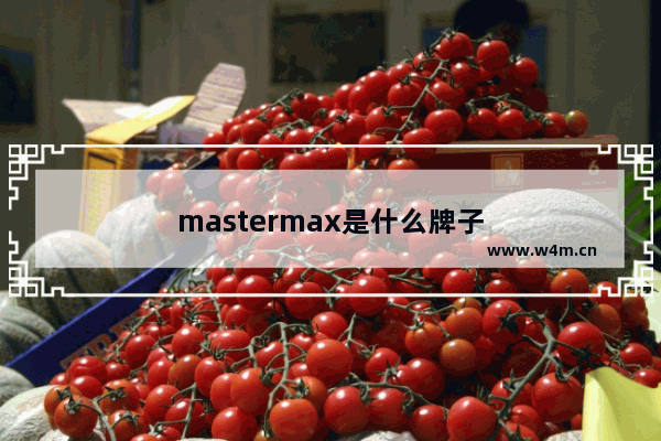 mastermax是什么牌子