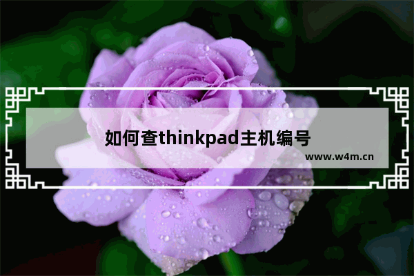 如何查thinkpad主机编号