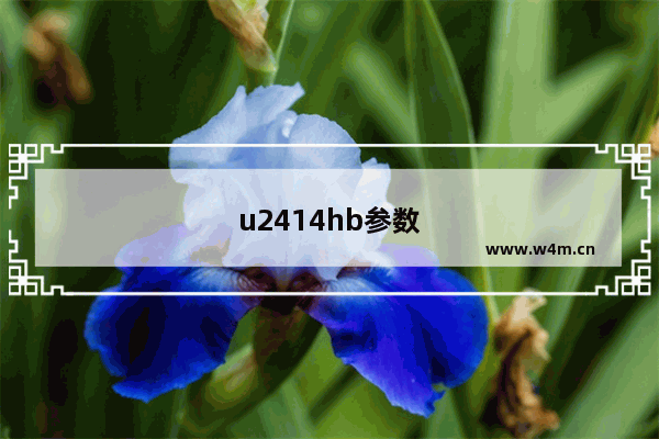 u2414hb参数