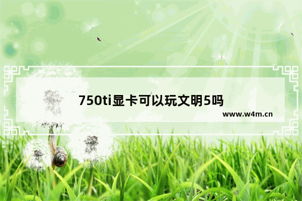 750ti显卡可以玩文明5吗