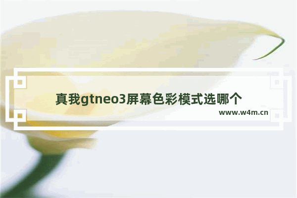 真我gtneo3屏幕色彩模式选哪个