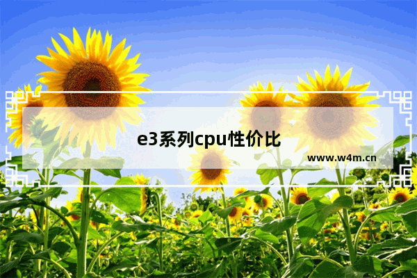 e3系列cpu性价比