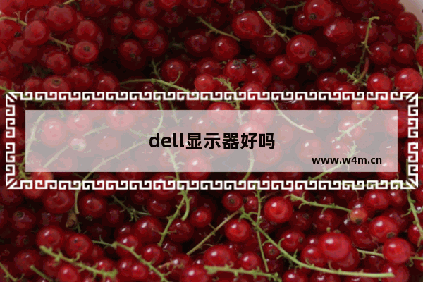 dell显示器好吗