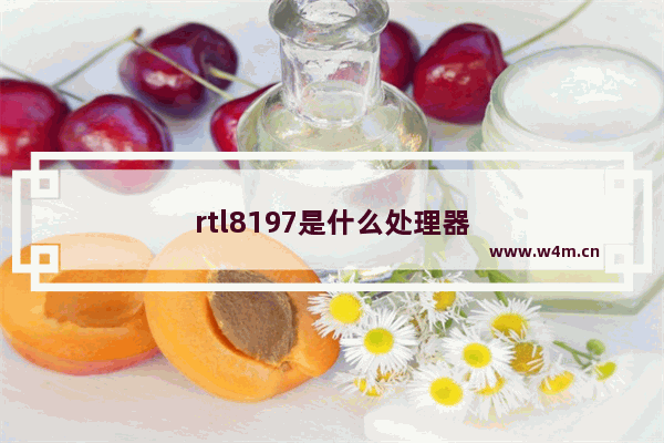 rtl8197是什么处理器