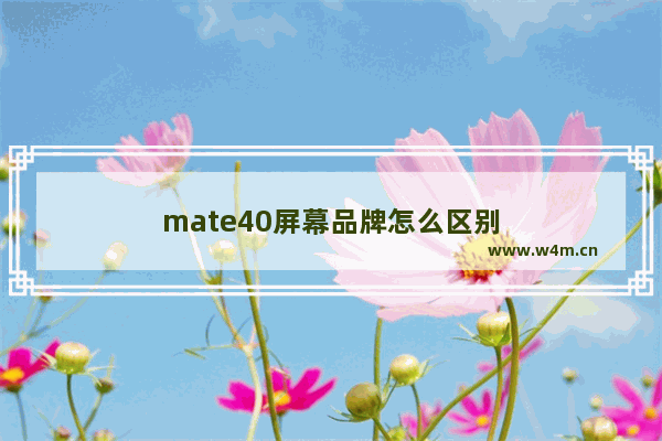 mate40屏幕品牌怎么区别