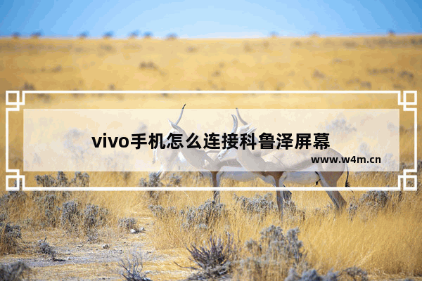 vivo手机怎么连接科鲁泽屏幕