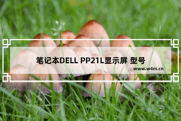 笔记本DELL PP21L显示屏 型号