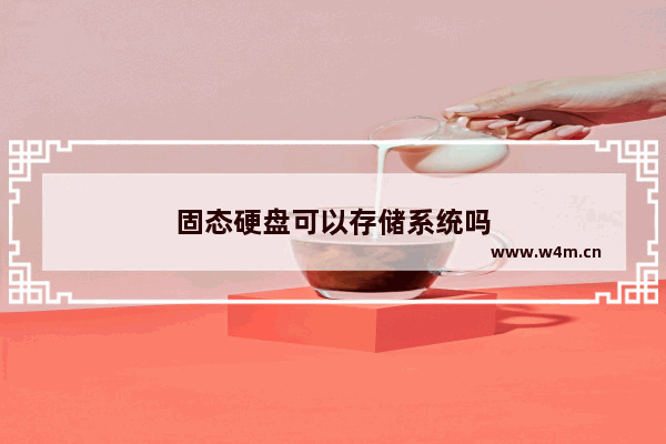 固态硬盘可以存储系统吗