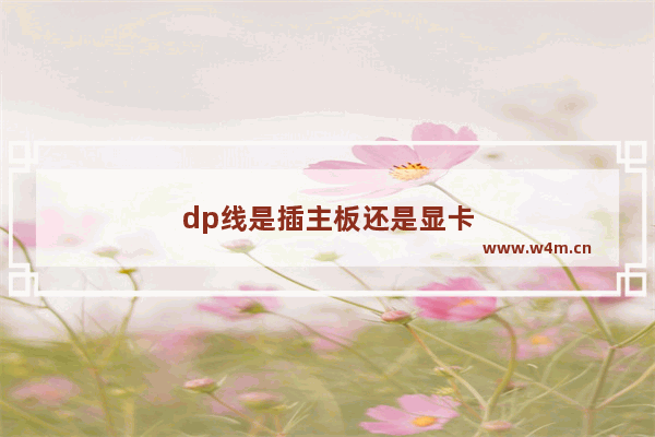 dp线是插主板还是显卡