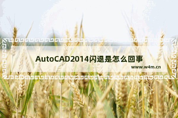 AutoCAD2014闪退是怎么回事