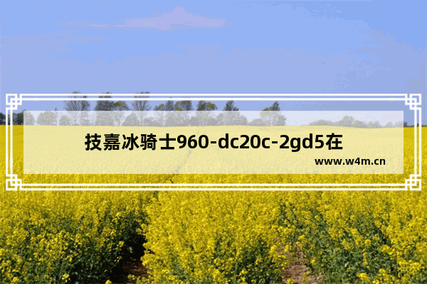 技嘉冰骑士960-dc20c-2gd5在960显卡中属于什么档次