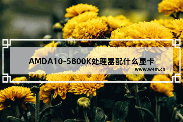 AMDA10-5800K处理器配什么显卡