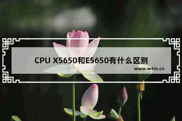 CPU X5650和E5650有什么区别