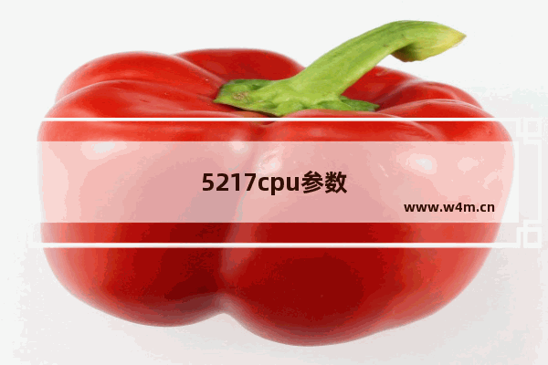 5217cpu参数