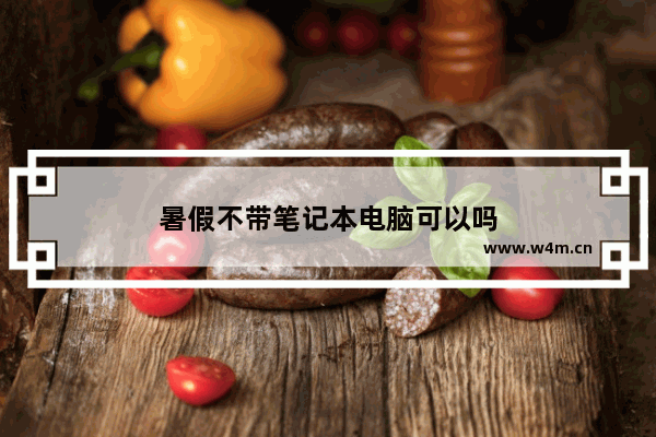 暑假不带笔记本电脑可以吗