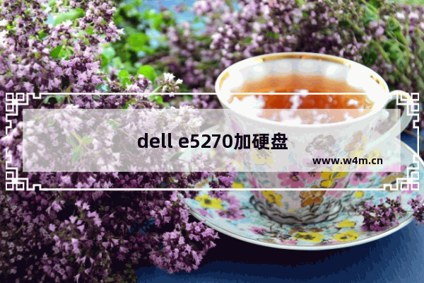 dell e5270加硬盘