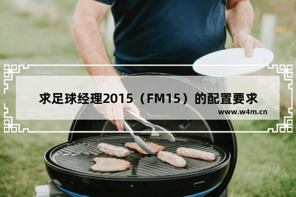 求足球经理2015（FM15）的配置要求