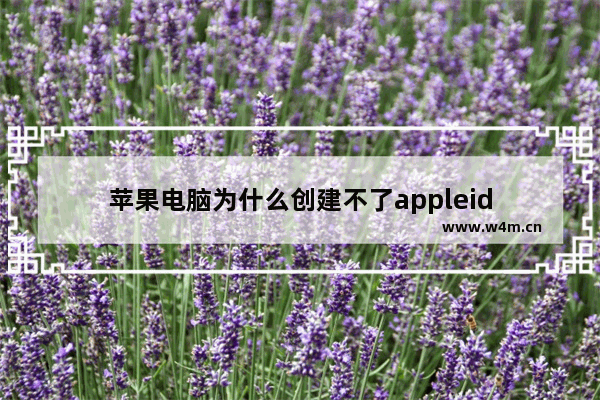 苹果电脑为什么创建不了appleid