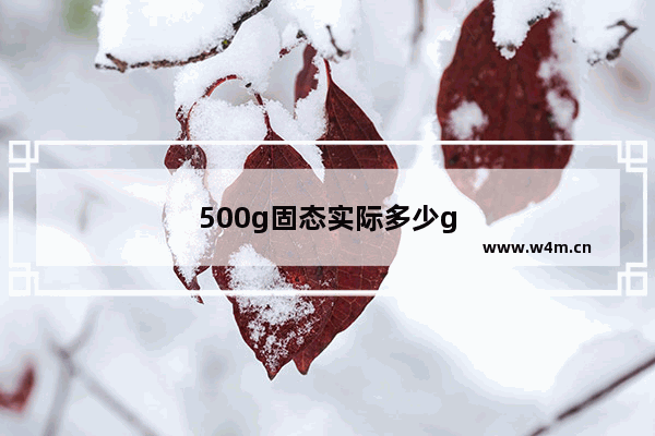 500g固态实际多少g